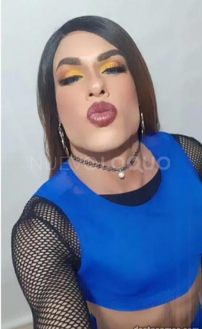 NuevoLoquo2