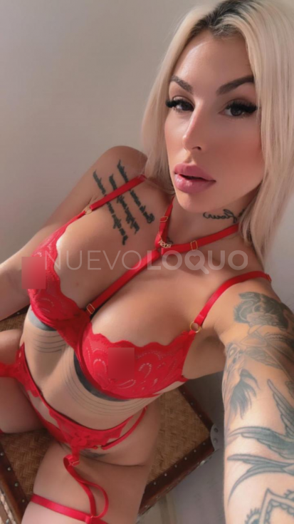 NuevoLoquo3