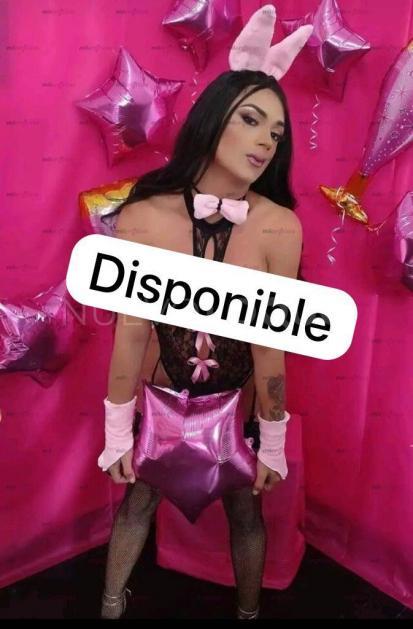 NuevoLoquo3
