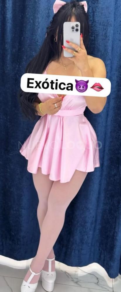 NuevoLoquo5