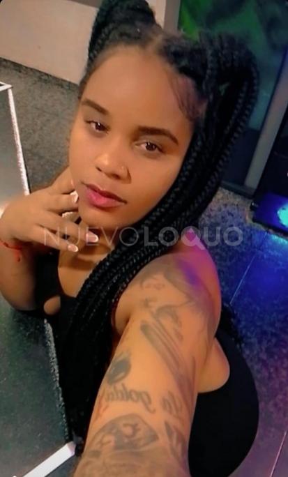 NuevoLoquo3