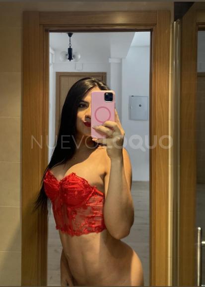 NuevoLoquo2