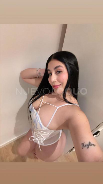 NuevoLoquo3