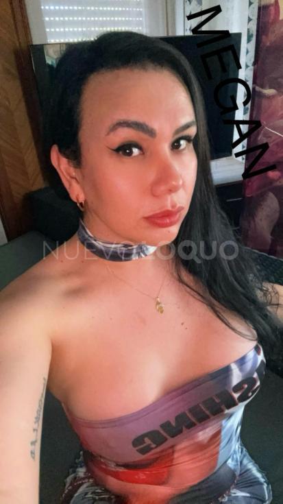 NuevoLoquo3