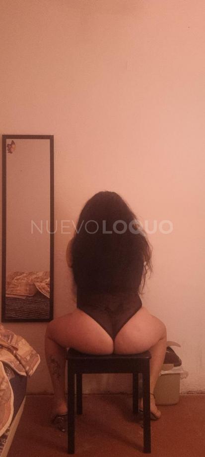 NuevoLoquo1