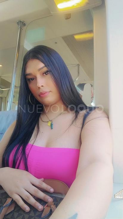NuevoLoquo1