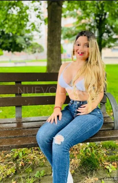 NuevoLoquo2