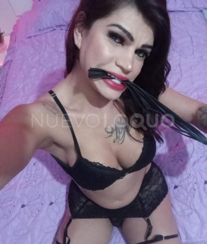 NuevoLoquo2