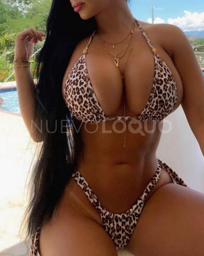 NuevoLoquo4
