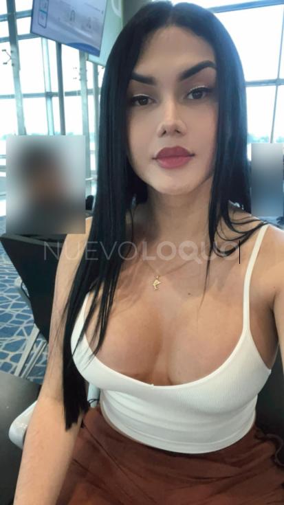 NuevoLoquo2