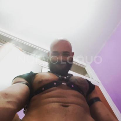 NuevoLoquo1