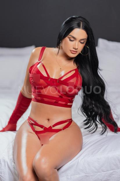 NuevoLoquo2