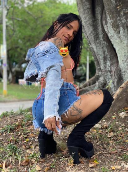 NuevoLoquo4