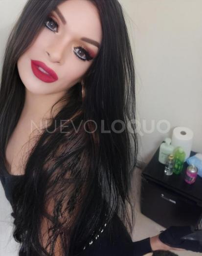 NuevoLoquo1