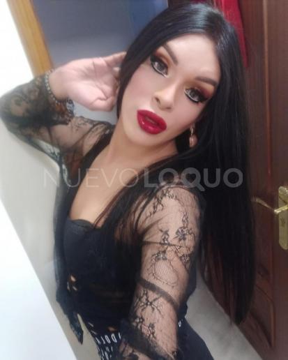 NuevoLoquo3