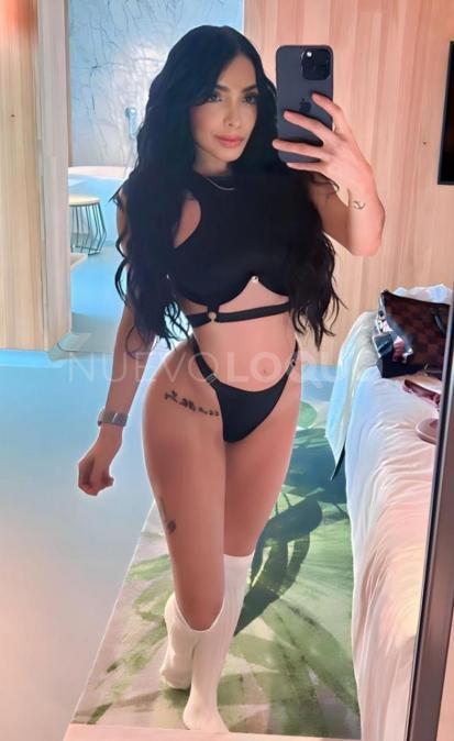 NuevoLoquo3