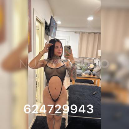 NuevoLoquo2
