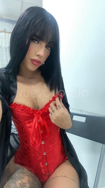 NuevoLoquo2