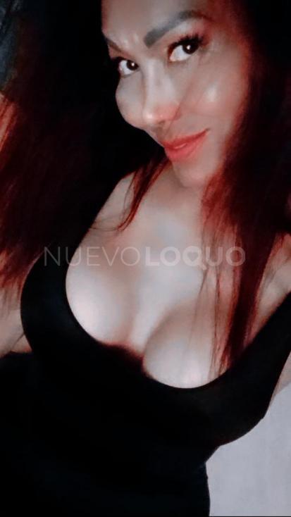 NuevoLoquo4