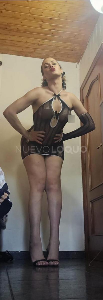 NuevoLoquo4