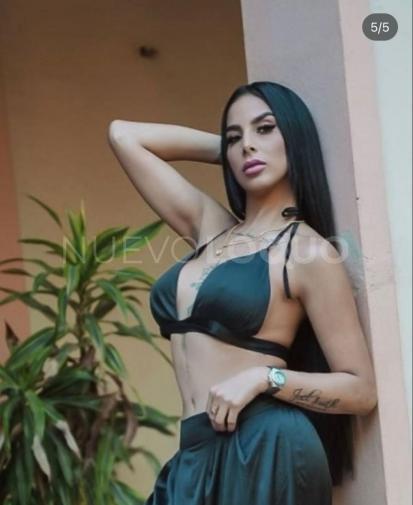 contactos pasion