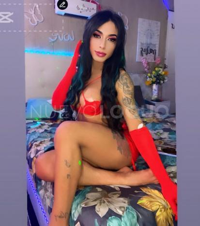 NuevoLoquo5