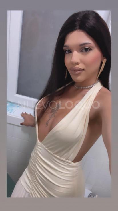 NuevoLoquo5