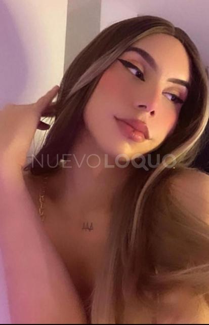 NuevoLoquo1