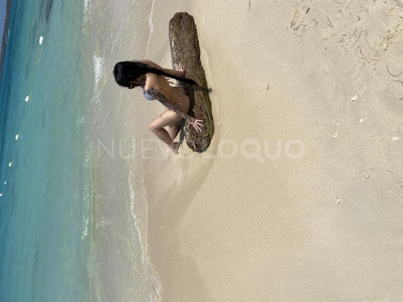 NuevoLoquo2
