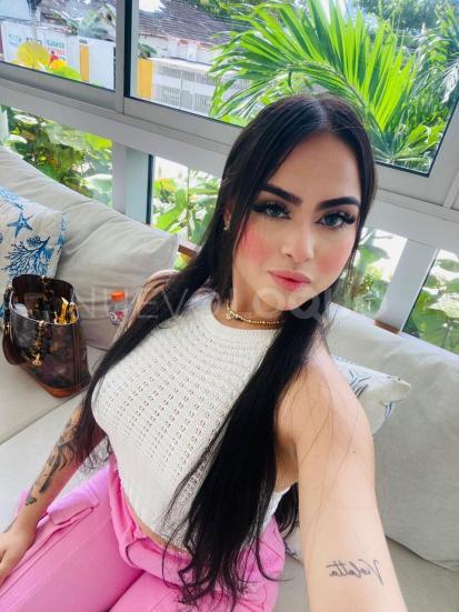 NuevoLoquo3