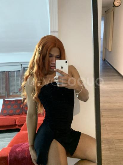 NuevoLoquo2