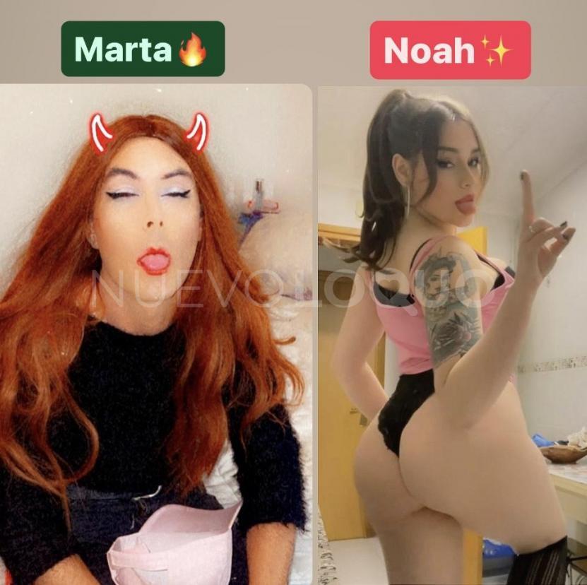NuevoLoquo1