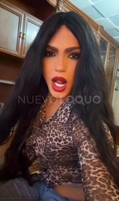 NuevoLoquo3