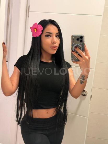 NuevoLoquo1
