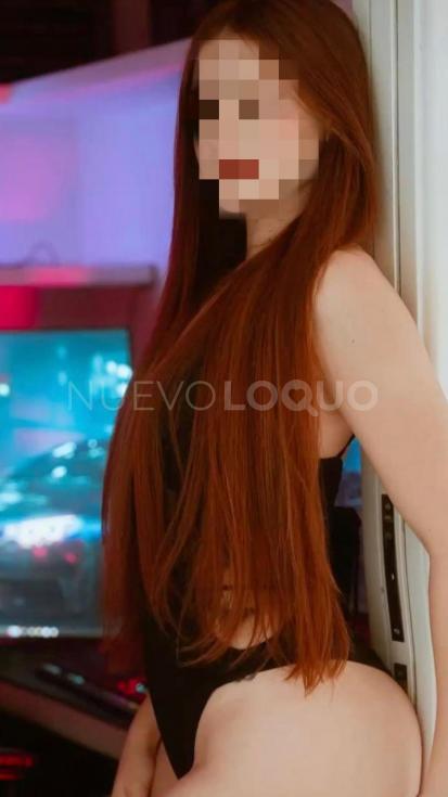 NuevoLoquo3