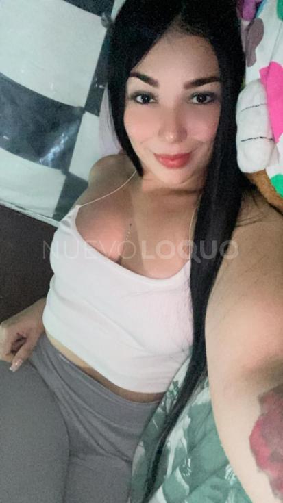NuevoLoquo2