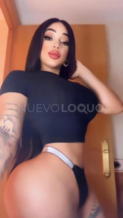 NuevoLoquo3