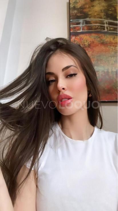 NuevoLoquo4