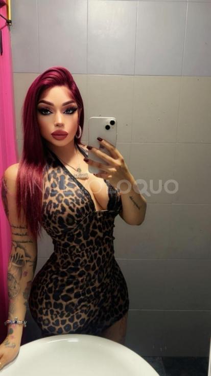 NuevoLoquo1