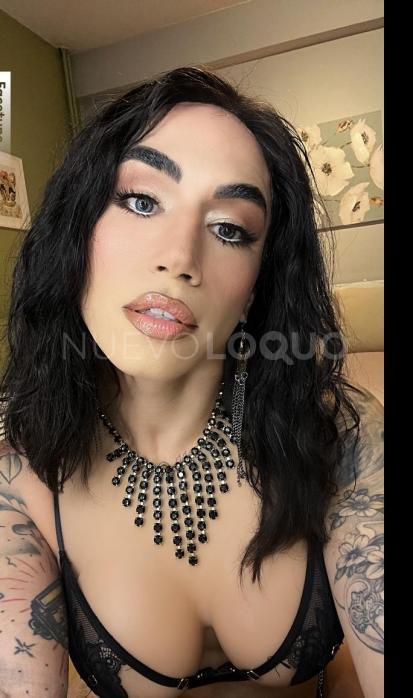 NuevoLoquo2