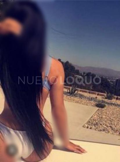 NuevoLoquo2