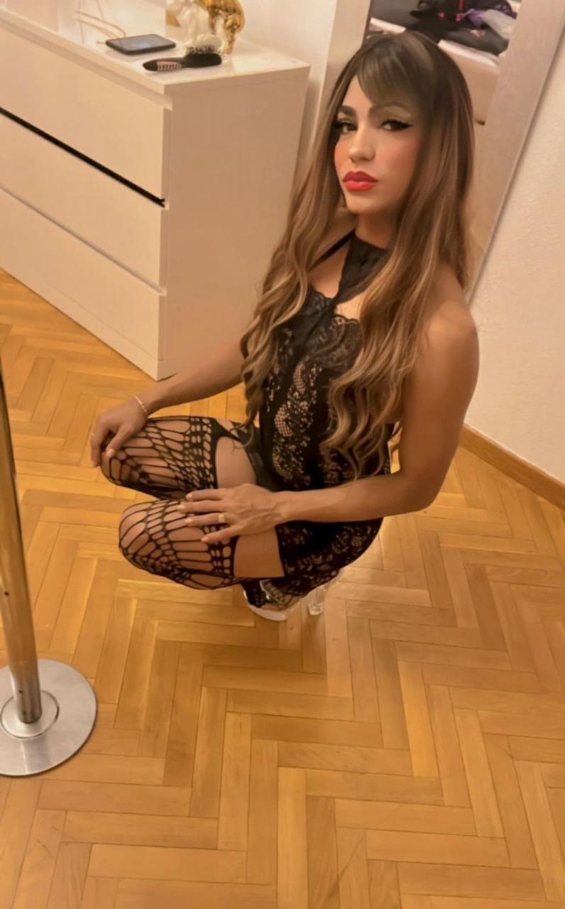 NuevoLoquo3