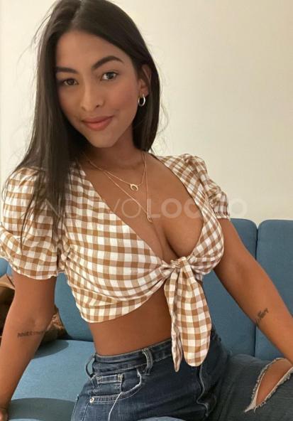 NuevoLoquo4