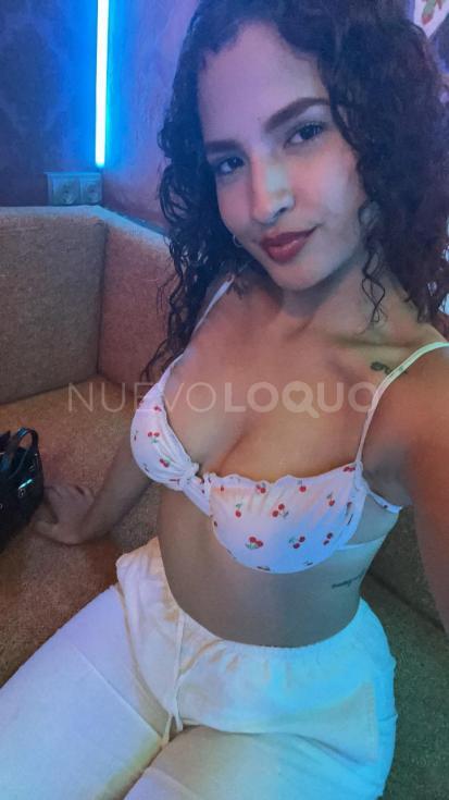 NuevoLoquo1