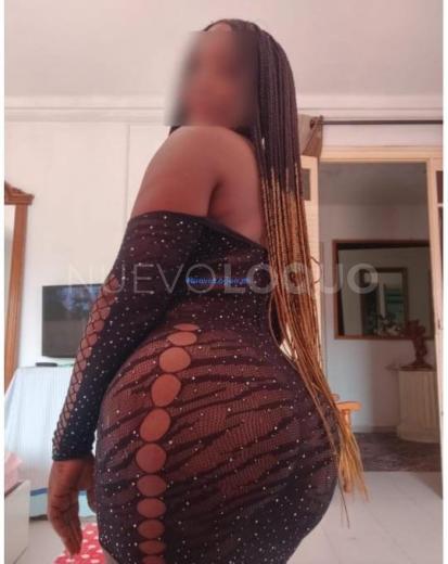 NuevoLoquo3