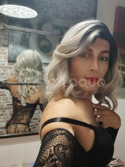 NuevoLoquo3