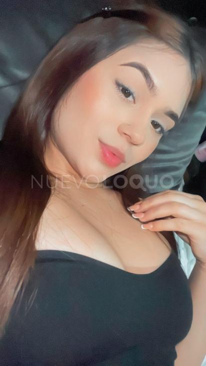 NuevoLoquo1