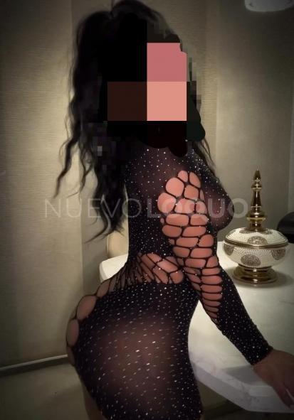 NuevoLoquo3