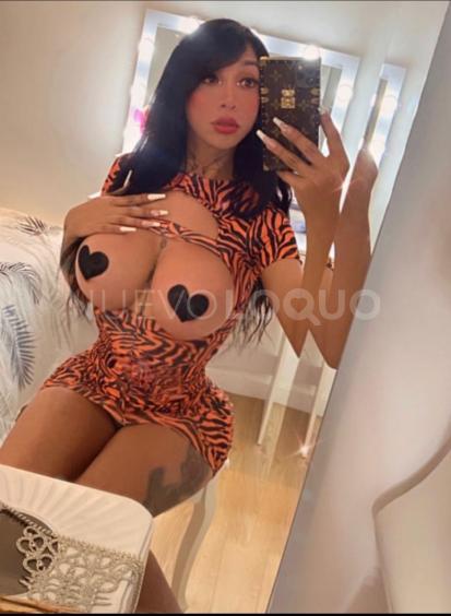 NuevoLoquo1