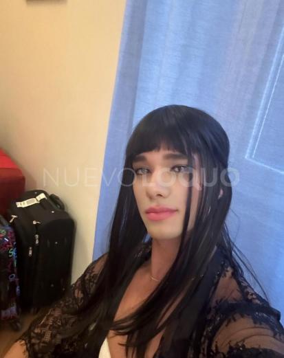 NuevoLoquo2